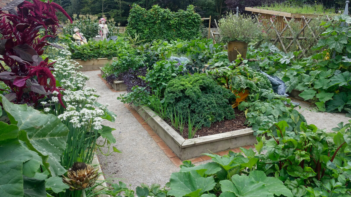 Cultivating An Aesthetically Pleasing and Practical Garden Design