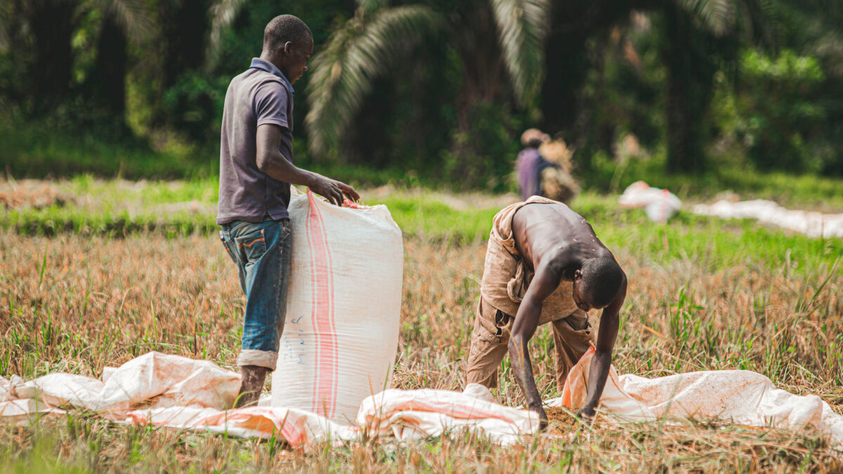 farmers in the field